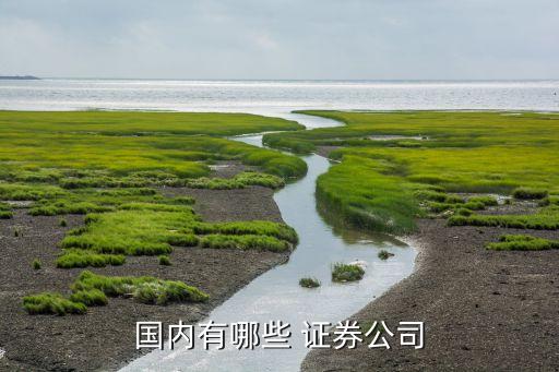 上海久聯(lián)證券經紀有限責任公司,西安華弘證券經紀有限責任公司