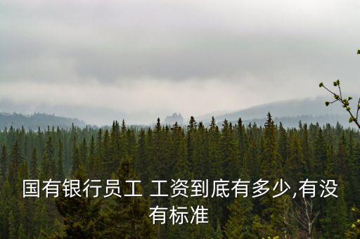 國有銀行員工 工資到底有多少,有沒有標準