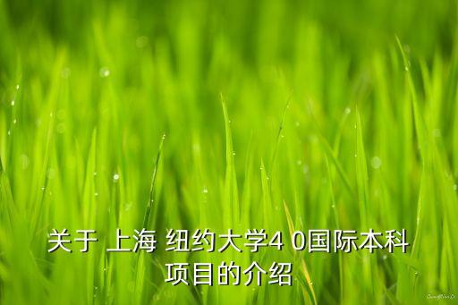 關(guān)于 上海 紐約大學4 0國際本科項目的介紹