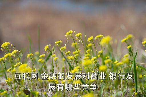  互聯網 金融的發(fā)展對商業(yè) 銀行發(fā)展有哪些競爭
