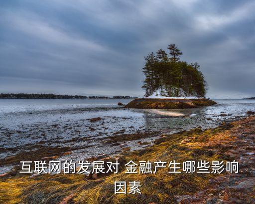  互聯網的發(fā)展對 金融產生哪些影響因素
