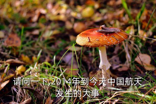 請(qǐng)問一下,2014年到今天中國(guó)航天發(fā)生的大事