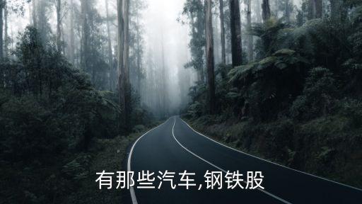 有那些汽車(chē),鋼鐵股