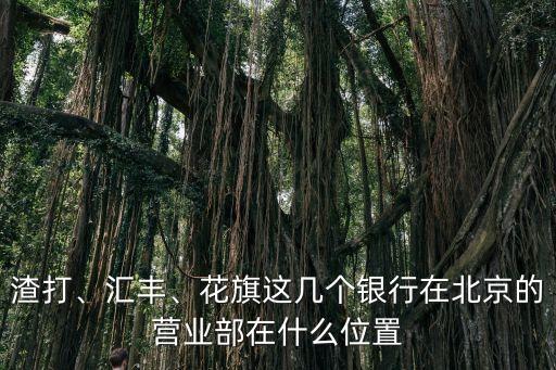 渣打、匯豐、花旗這幾個銀行在北京的營業(yè)部在什么位置