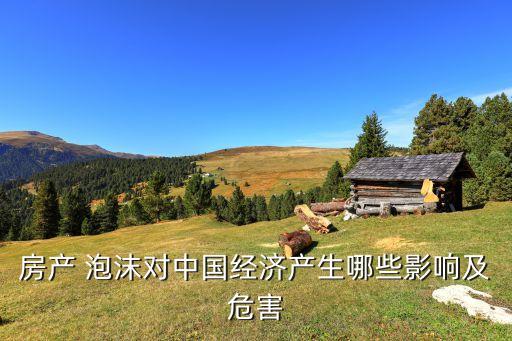 房產(chǎn) 泡沫對中國經(jīng)濟產(chǎn)生哪些影響及危害
