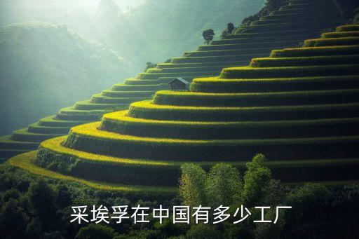 上海采埃孚生產的307轉向柱