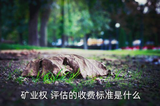 青島衡元德礦業(yè)權評估咨詢有限公司