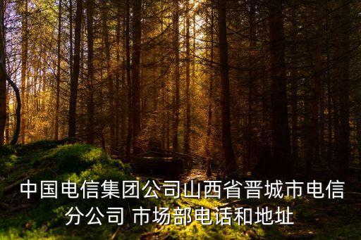  中國電信集團(tuán)公司山西省晉城市電信分公司 市場(chǎng)部電話和地址