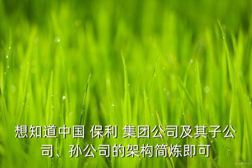 想知道中國(guó) 保利 集團(tuán)公司及其子公司、孫公司的架構(gòu)簡(jiǎn)煉即可