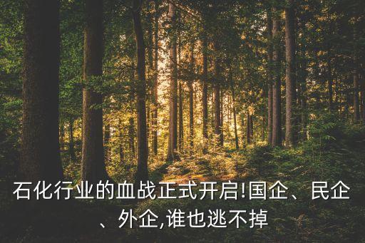 石化行業(yè)的血戰(zhàn)正式開啟!國企、民企、外企,誰也逃不掉