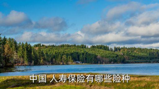 中國人壽產品介紹,人壽保險產品介紹