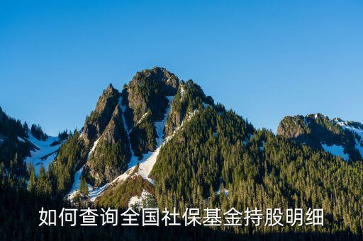 如何查詢?nèi)珖绫；鸪止擅骷?xì)