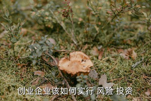 創(chuàng)業(yè)企業(yè)該如何實(shí)行 風(fēng)險 投資