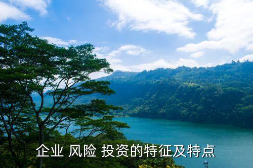 企業(yè) 風(fēng)險 投資的特征及特點(diǎn)