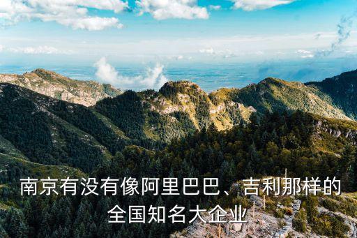  南京有沒有像阿里巴巴、吉利那樣的全國知名大企業(yè)