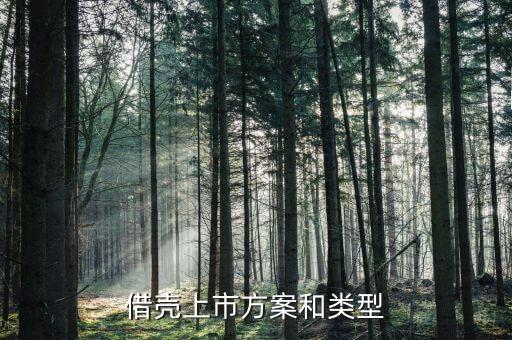 借殼上市方案和類(lèi)型