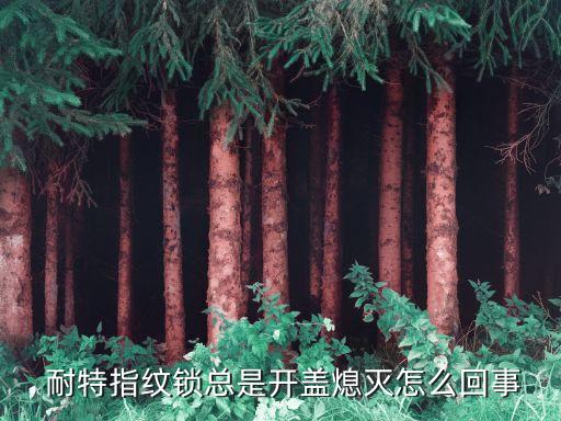  耐特指紋鎖總是開(kāi)蓋熄滅怎么回事