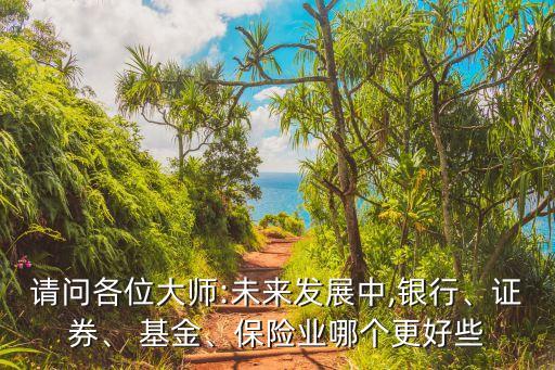 請問各位大師:未來發(fā)展中,銀行、證券、 基金、保險業(yè)哪個更好些