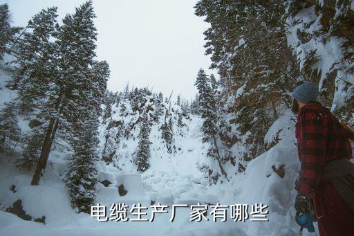  電纜生產廠家有哪些