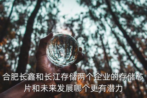 合肥長鑫和長江存儲兩個(gè)企業(yè)的存儲芯片和未來發(fā)展哪個(gè)更有潛力
