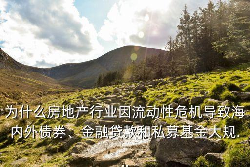 為什么房地產(chǎn)行業(yè)因流動性危機導致海內(nèi)外債券、金融貸款和私募基金大規(guī)...