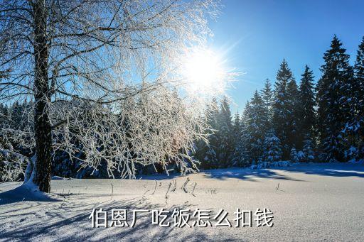 伯恩廠吃飯?jiān)趺纯坼X(qián)