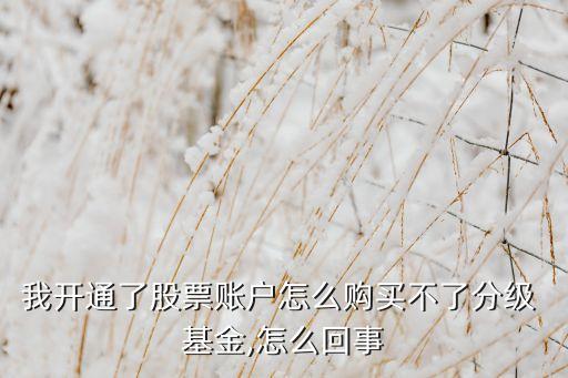 我開(kāi)通了股票賬戶怎么購(gòu)買(mǎi)不了分級(jí) 基金,怎么回事
