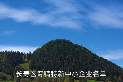 長(zhǎng)壽區(qū)專(zhuān)精特新中小企業(yè)名單