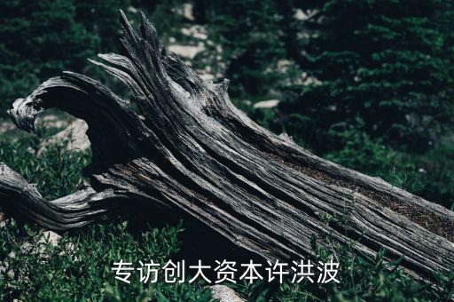 專(zhuān)訪創(chuàng)大資本許洪波