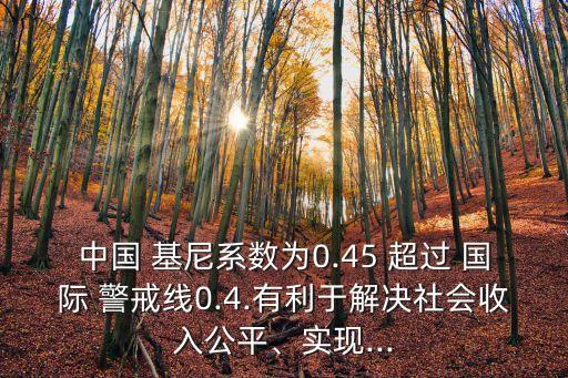 中國 基尼系數(shù)為0.45 超過 國際 警戒線0.4.有利于解決社會收入公平、實(shí)現(xiàn)...