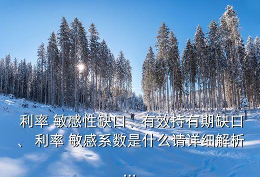  利率 敏感性缺口、有效持有期缺口、 利率 敏感系數(shù)是什么請詳細解析...