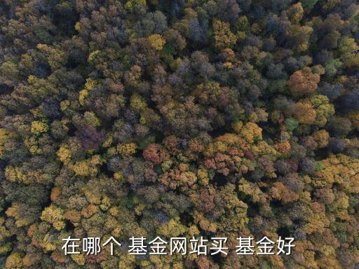 天天網博實基金