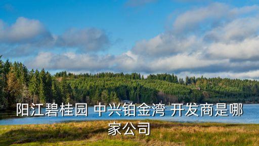 陽(yáng)江碧桂園 中興鉑金灣 開發(fā)商是哪家公司