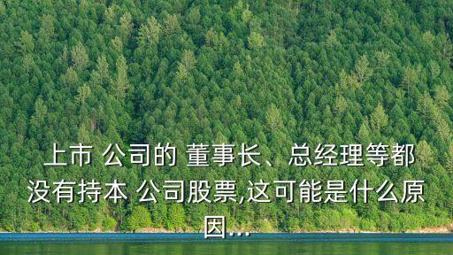  上市 公司的 董事長、總經(jīng)理等都沒有持本 公司股票,這可能是什么原因...