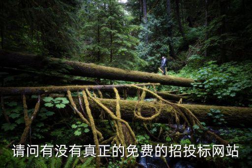 請問有沒有真正的免費的招投標網站