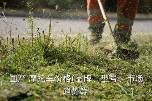 國(guó)產(chǎn) 摩托車價(jià)格(品牌、型號(hào)、市場(chǎng)趨勢(shì)等