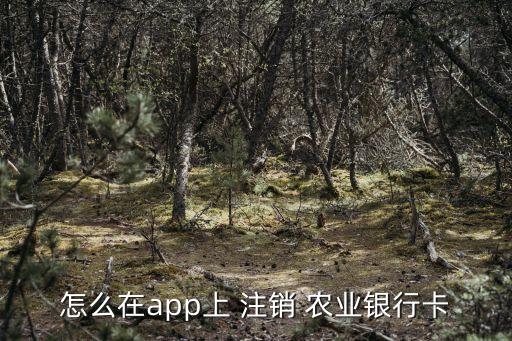 怎么在app上 注銷(xiāo) 農(nóng)業(yè)銀行卡