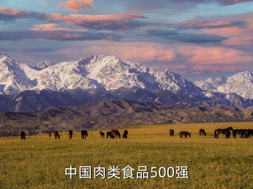 中國肉類食品500強
