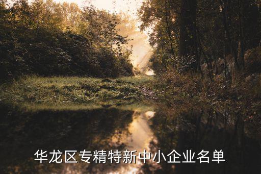 華龍區(qū)專(zhuān)精特新中小企業(yè)名單