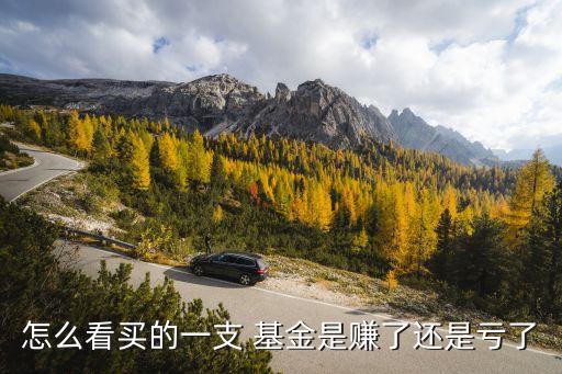 怎么看買的一支 基金是賺了還是虧了