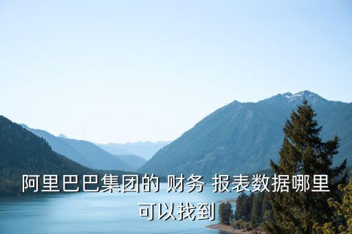 阿里巴巴集團的 財務 報表數(shù)據(jù)哪里可以找到