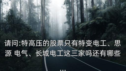 請問:特高壓的股票只有特變電工、思源 電氣、長城電工這三家嗎還有哪些...