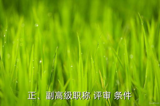正、副高級(jí)職稱 評(píng)審 條件