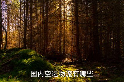國內空運物流有哪些
