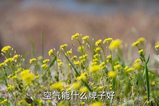 浙江開創(chuàng)環(huán)?？萍脊煞萦邢薰?/></a></span><span id=