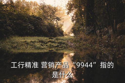 工行精準 營銷產品“9944”指的是什么