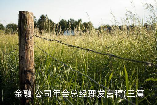  金融 公司年會總經理發(fā)言稿(三篇