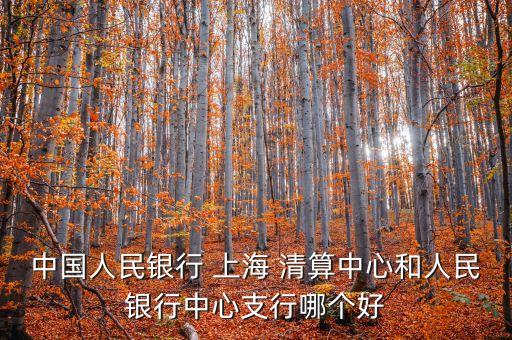 中國現代化支付系統(tǒng)和上海清算所比較,簡述中國現代化支付系統(tǒng)
