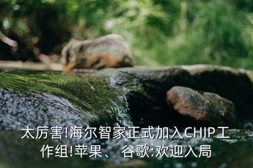 太厲害!海爾智家正式加入CHIP工作組!蘋果、 谷歌:歡迎入局