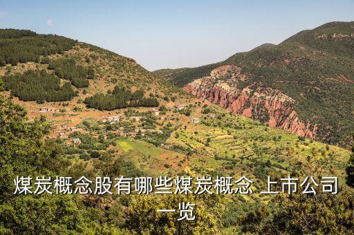 標(biāo)準(zhǔn)工業(yè)集團整體上市,2023光大集團整體上市